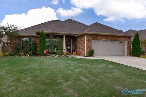 3041 Peevey Creek Lane, Owens Cross Roads, AL 35763