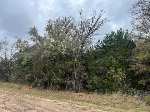 30067 Woodcrest Drive, Whitney, TX 76692