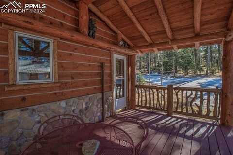 55 Worley Road, Divide, CO 80814