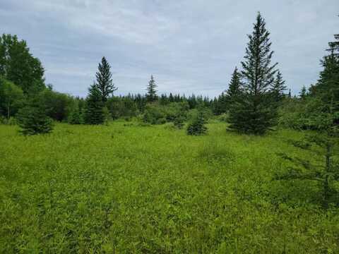 Xxx Heino Road, Angora, MN 55703