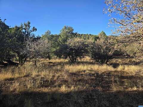 Xxx Sanctuary Road, Silver City, NM 88061