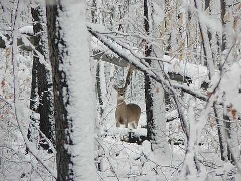 39 Acres Weinke Road, North Freedom, WI 53951