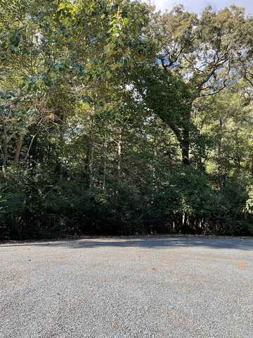 Lot 22 SANDPIPER LANE, ATLANTIC, VA 23303