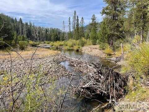 Tbd Napias Creek Road, Salmon, ID 83467