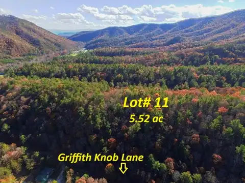 Lot 11 Griffith Knob Lane, Wytheville, VA 24382