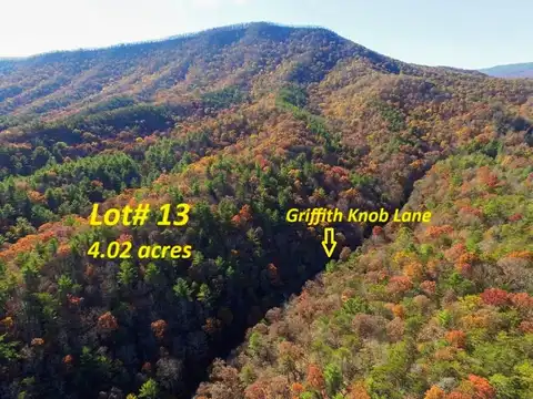 Lot 13 Griffith Knob Lane, Wytheville, VA 24382