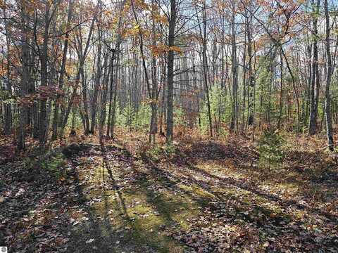 10372 Black Bear Road, Kalkaska, MI 49646