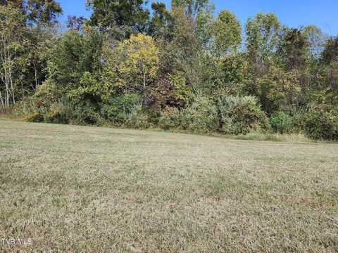 5037 Serenity Drive Drive, Mooresburg, TN 37811