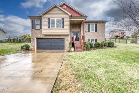 2102 Falling Leaf Drive, Kingsport, TN 37664