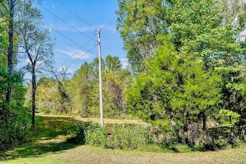 2058 Bolestown Loop Lot 5, ALPINE, TN 38543