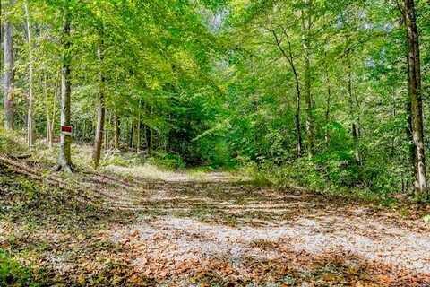 Bolestown Loop Lot 1, ALPINE, TN 38543