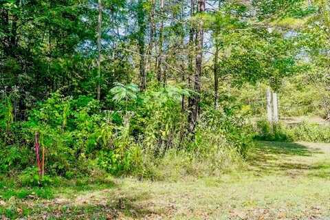 Bolestown Loop Lot 4, ALPINE, TN 38543