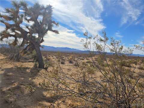 320 Acres W Brittlebush Drive, Yucca, AZ 86438