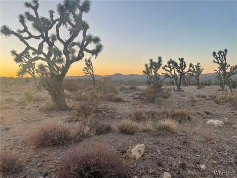 328-03-418 OAK Drive, Dolan Springs, AZ 86441