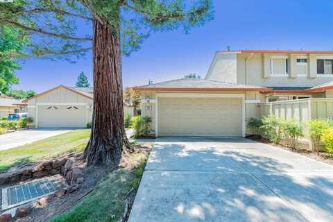 538 Via Appia, Walnut Creek, CA 94598