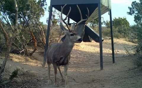 000 Chriesman Ranch, Pumpville, TX 78851