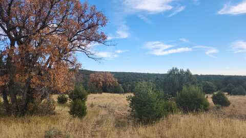 Camino De Las Palas, Estancia, NM 87016