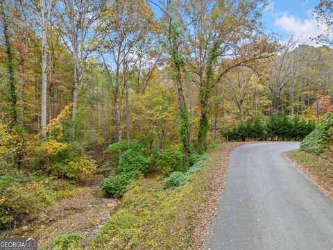 14 Acres Hobson, Jasper, GA 30143