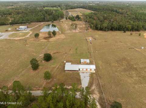 155 Roy Fairley Drive, Lucedale, MS 39452