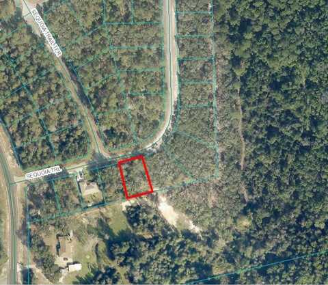 00 SEQUOIA TRAIL, OCKLAWAHA, FL 32179