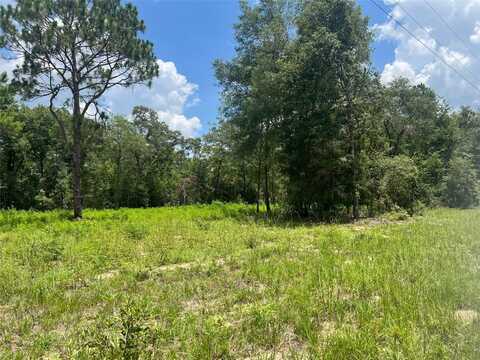 Tbd NE 78TH LANE, BRONSON, FL 32621