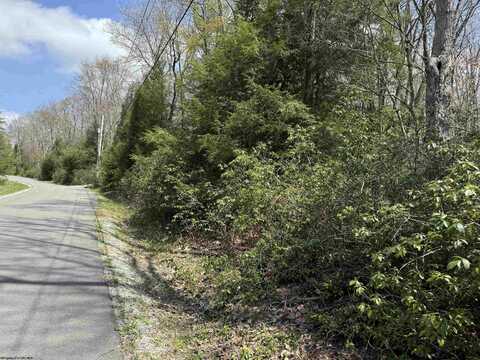 Lot 246 Azalea Lane, Terra Alta, WV 26764