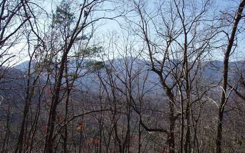 Lot 1 Caesar Gap Road, Hiawassee, GA 30546