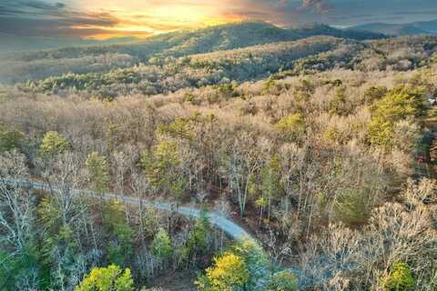 Lot 5 Wild Goose Lane, Mineral Bluff, GA 30559