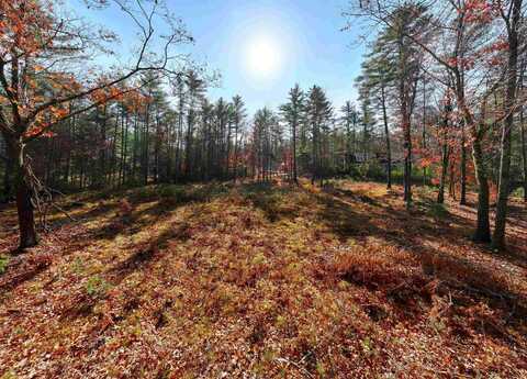 Lot 42 Winchester Lane, CTR Tuftnboro, NH 03816