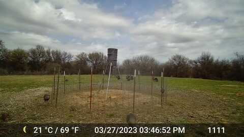 11653 PR 315 Parcel C, Hawley, TX 79525