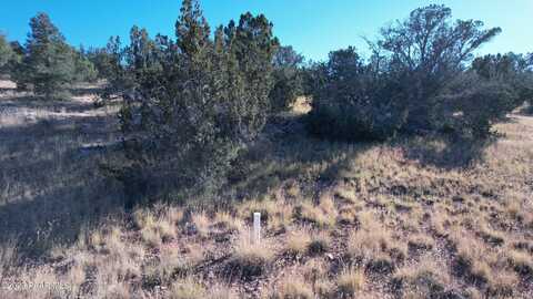 30863 W Basconia Road, Seligman, AZ 86337