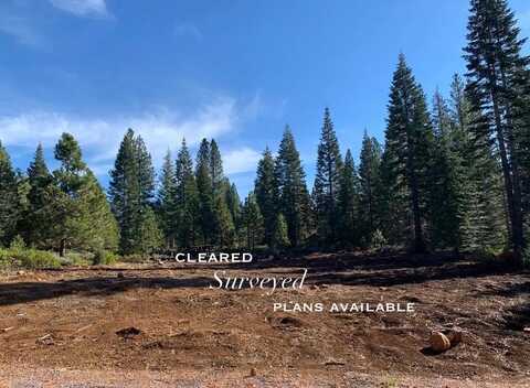 29 Bailey Creek Drive, Lake Almanor, CA 96137