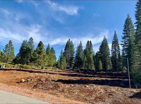 29 Bailey Creek Drive, Lake Almanor, CA 96137