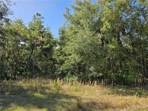 14954 W River Road, Inglis, FL 34449