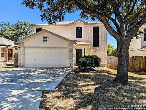 1222 LION KING, San Antonio, TX 78251