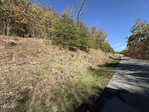 Tbd Chimney Rock Road, New Tazewell, TN 37825