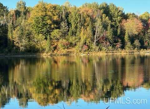 TBD Maggie Lakes Trail, Crystal Falls, MI 49920