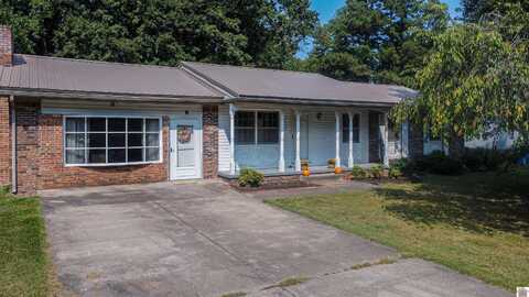 209 Crystal Lake Rd, Wickliffe, KY 42087