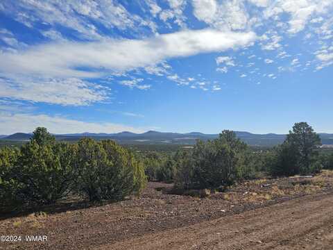 33 & 39 N CR3312, Vernon, AZ 85940