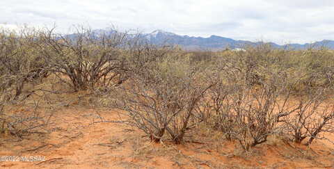 Kelly, HEREFORD, AZ 85615