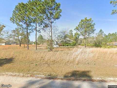 Quarterhorse, MIDDLEBURG, FL 32068