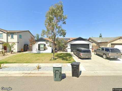 Weeping Willow, LINCOLN, CA 95648