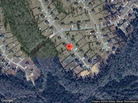 Long Way, LUDOWICI, GA 31316
