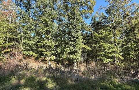 Lot 10, Block 5 Tummell DR, Bella Vista, AR 72715