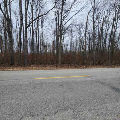 Poor Farm Road, Greenbush, MI 48738