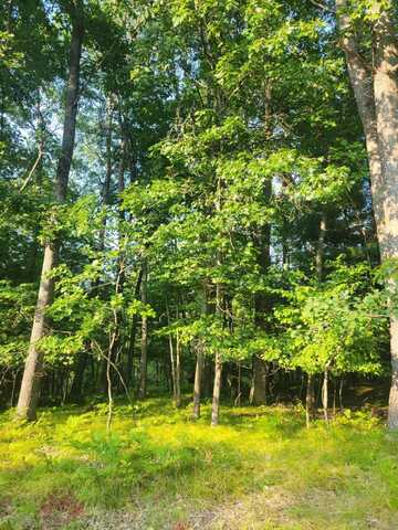 Lot 19 Fenwood, Prudenville, MI 48651