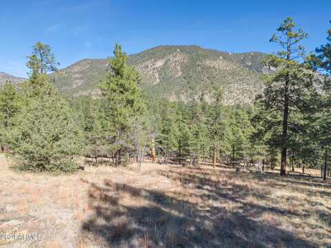 1384 E BOUTELOUA Bend, Flagstaff, AZ 86001