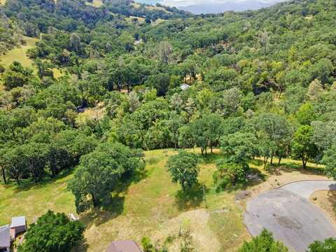 18 Chestnut Court, Napa, CA 94558