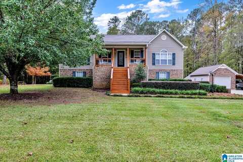 202 OVERCREEK ROAD, WARRIOR, AL 35180