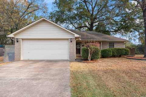 3915 Cirrus Drive, Conway, AR 72034